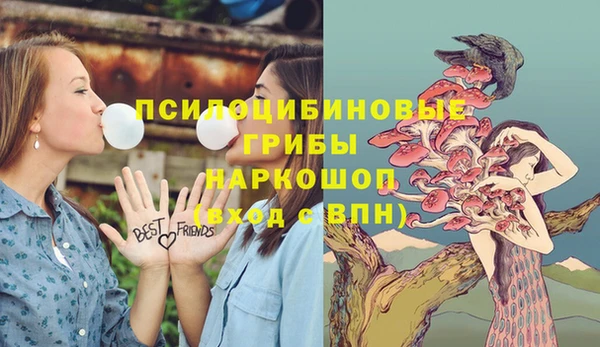амф Алексин