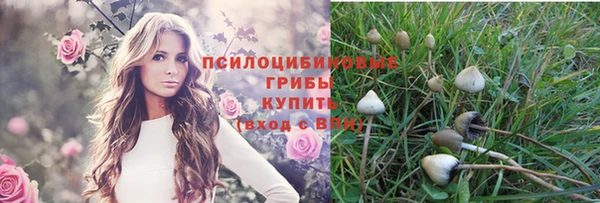 крисы Алексеевка