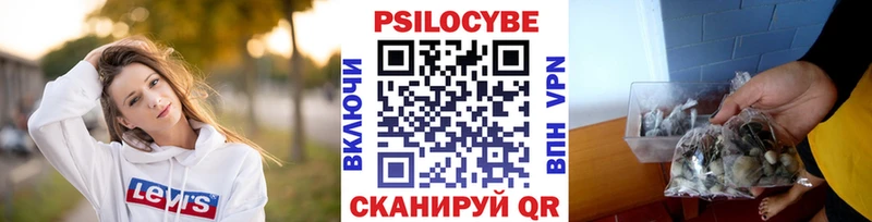 Псилоцибиновые грибы прущие грибы купить наркотики сайты мега маркетплейс Уссурийск